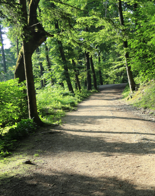Znamenitosti Krajinski park Tivoli, Rožnik in Šišenski hrib