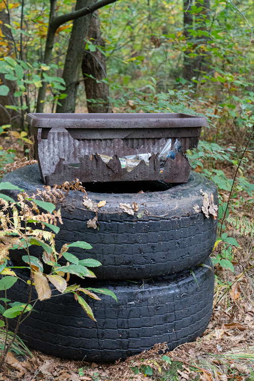 <p>
	 Iz ene od mejic smo odstranili tudi tri odslužene tovorne pnevmatike, ki v to okolje vsekakor ne sodijo.<br>

	<br>
	 foto: Luka Šparl<br>
</p>