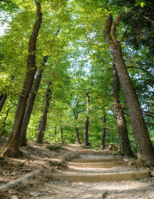 Znamenitosti Krajinski park Tivoli, Rožnik in Šišenski hrib