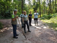 <p>
	 Odstranjevanje deljenolistne rudbekije; Foto: Andrej Verlič
</p>