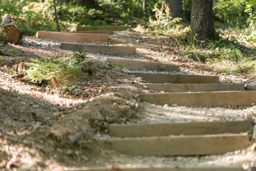 <p>
	 Obnovljena in urejena pešpot na Rožnik;;
</p>
<p>
	 Foto: Artinfoto.si
</p>