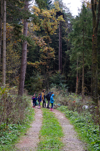 <p>
	 Največ odpadkov smo pričakovano odkrili ob gozdnih poteh.<br>

	<br>
	 foto: Luka Šparl
</p>