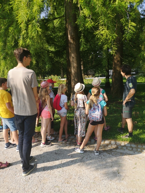 <p>
	Danes so nas zopet obiskali otroci, ki počitniški teden preživljajo v Narodni galeriji, Foto: Arhiv Narodne galerije
</p>