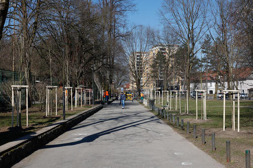 <p>
	 Zasaditev lip v parku Tivoli; Foto: Nik Rovan (Arhiv MOL)
</p>