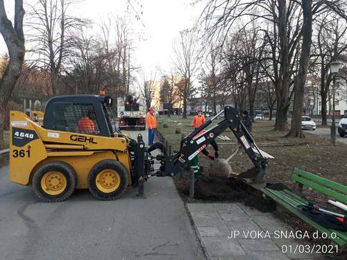 <p>
	 Zasaditev lip v parku Tivoli; Foto: Nejc Praznik
</p>