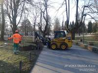<p>
	 Zasaditev lip v parku Tivoli; Foto: Nejc Praznik
</p>