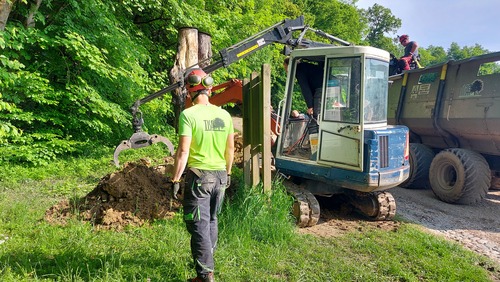 <p>
	Ob sankališču v mestnem parku Tivoli smo tako zamenjali enega od dotrajanih debel in ga skupaj s preostalimi napolnili z lesnim muljem.<br>
	Foto: Saša Vochl
</p>