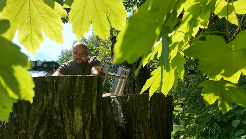 <p>
	Stanje debel in populacije hrošča redno spremljamo skupaj s strokovnjaki Nacionalnega inštituta za biologijo.<br>
	Foto: Saša Vochl
</p>