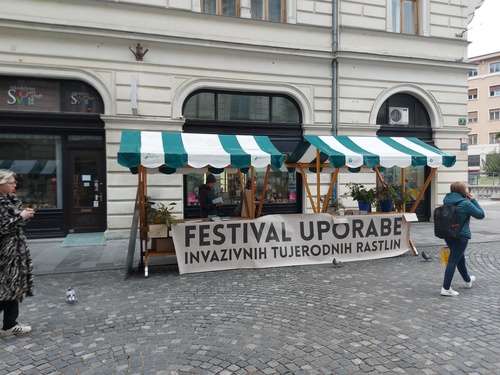 <p>
	Festivalu uporabe invazivnih tujerodnih rastlin
</p>
<p>
	Foto: Mateja Nose Marolt
</p>