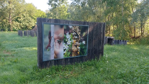 <p>
	Ogledali si bomo razstavo s predstavitvijo vseh štirih krajinskih parkov v Mestni občini Ljubljana.
</p>
<p>
	Foto: Mateja Nose Marolt
</p>
