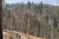 <p>
	 Ena od dveh ekocelic v Krajinskem parku Tivoli, Rožnik in Šišenski hrib.<br>

	<br>
	 foto: Luka Šparl<br>
</p>