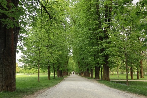 <p>
	 Mestni park Tivoli; Foto: Artinfoto.si
</p>