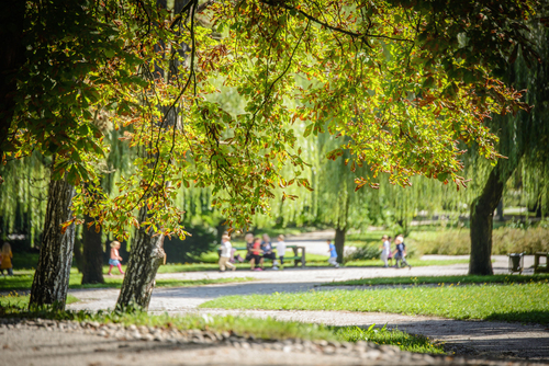 <p>
	 Mestni park Tivoli; Foto: Artinfoto.si
</p>