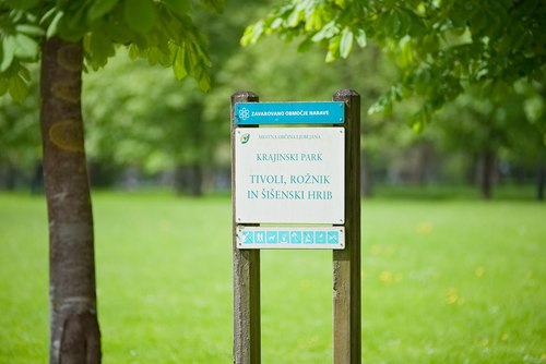 <p>
	 Mestni park Tivoli; Foto: Artinfoto.si
</p>