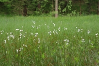 <p>
	 Naravni rezervat Mali Rožni; Foto: Luka Šparl
</p>