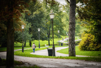 <p>
	 Naravni spomenik Tivoli - mestni park
</p>